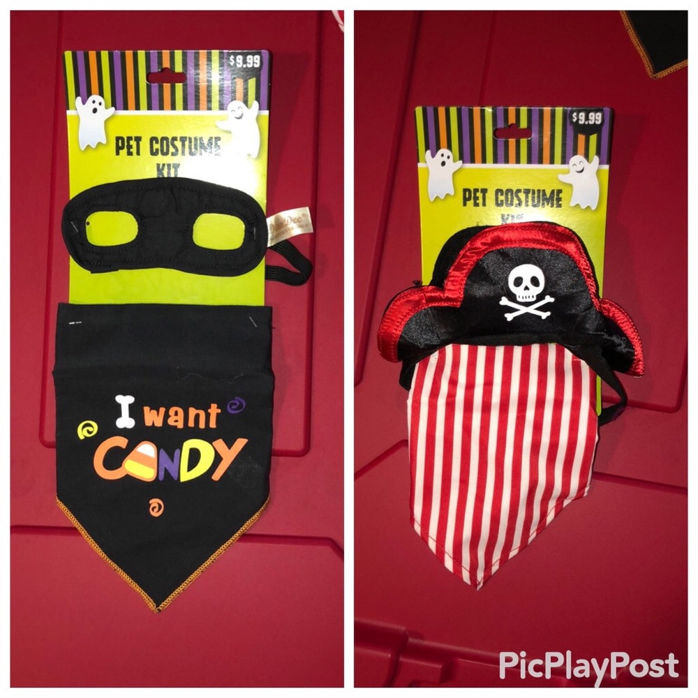 Pet costumes - Picture 1 of 3